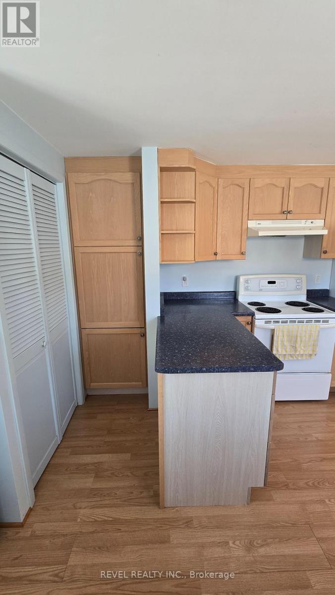 25 Miller Street, Strathroy-Caradoc, Ontario  N7G 1A5 - Photo 33 - X13123788