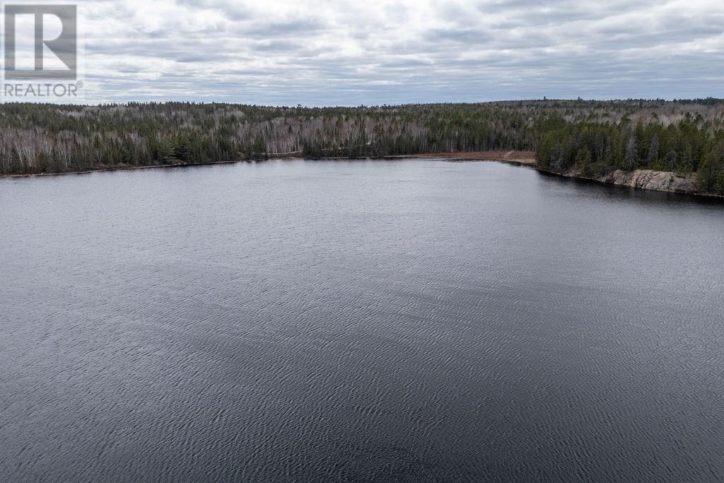 4 Bugg Lake Road N, Greater Sudbury, Ontario  P0M 3C0 - Photo 53 - 2127732
