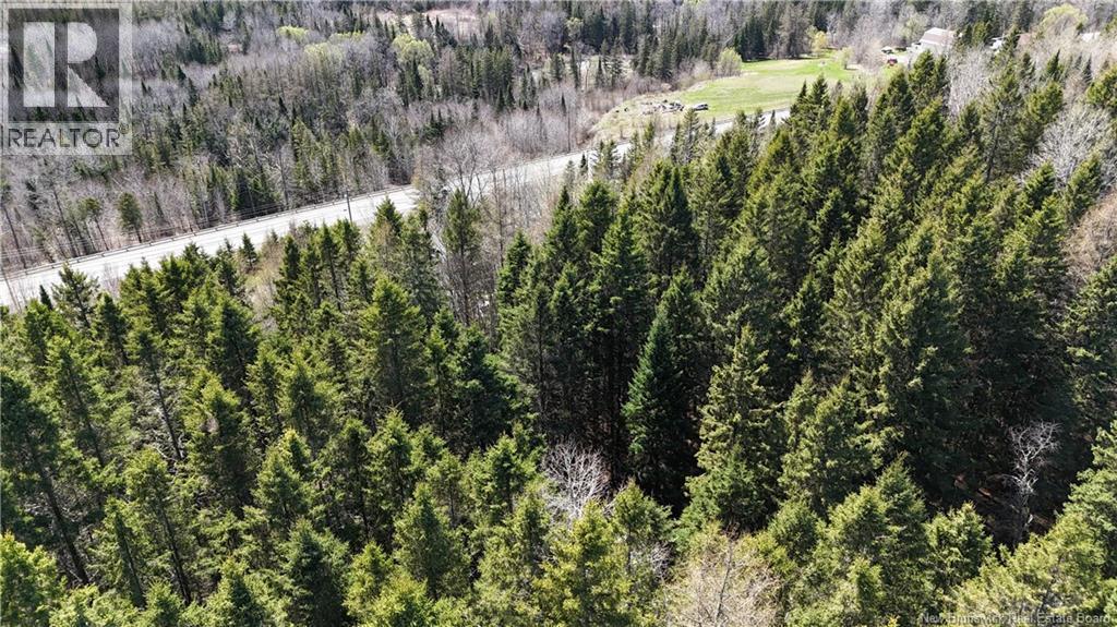 Francoeur Hill Road, New Denmark, New Brunswick  E7G 1R3 - Photo 4 - NB132478