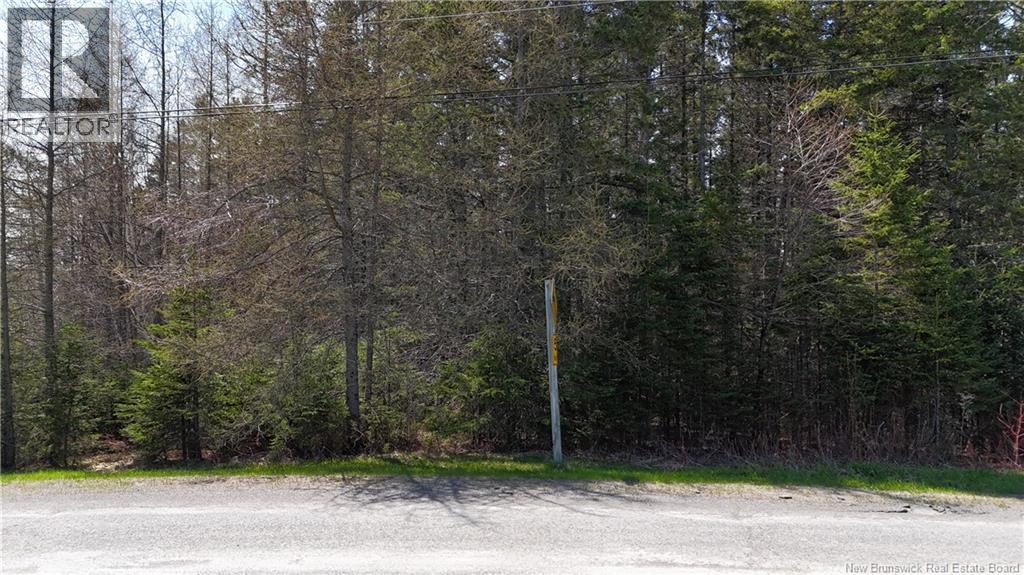 Francoeur Hill Road, New Denmark, New Brunswick  E7G 1R3 - Photo 1 - NB132478