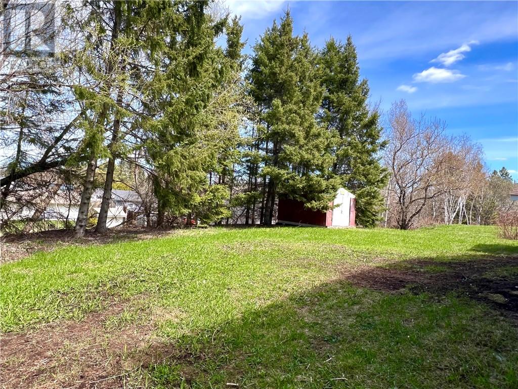 14 Hector Street, St. Charles, Ontario  P0M 2W0 - Photo 27 - 2127742