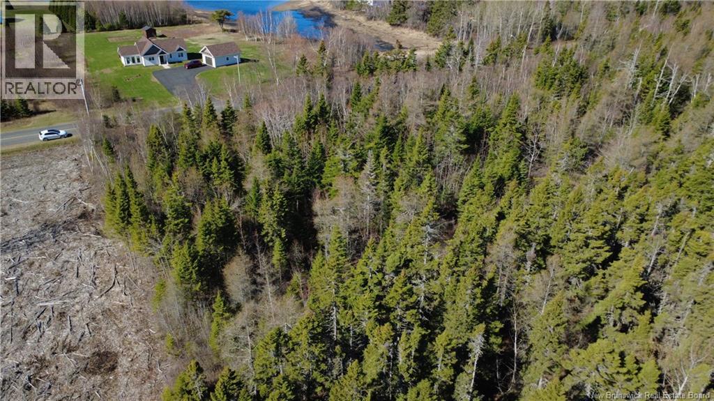 2.02 Acres Rue Sureau Blanc, Tracadie, New Brunswick  E1X 2G1 - Photo 7 - NB139410