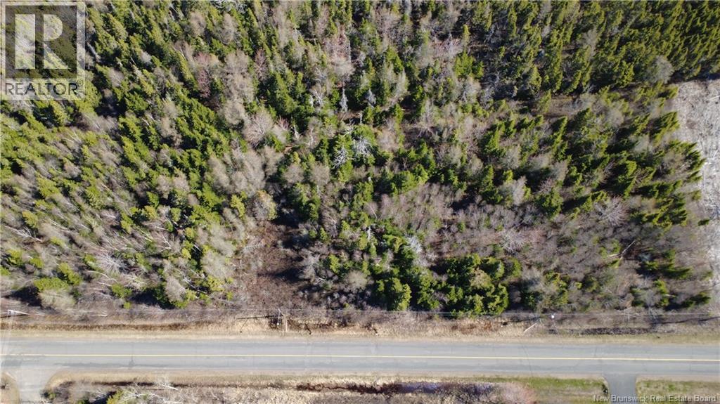 2.02 Acres Rue Sureau Blanc, Tracadie, New Brunswick  E1X 2G1 - Photo 9 - NB139410