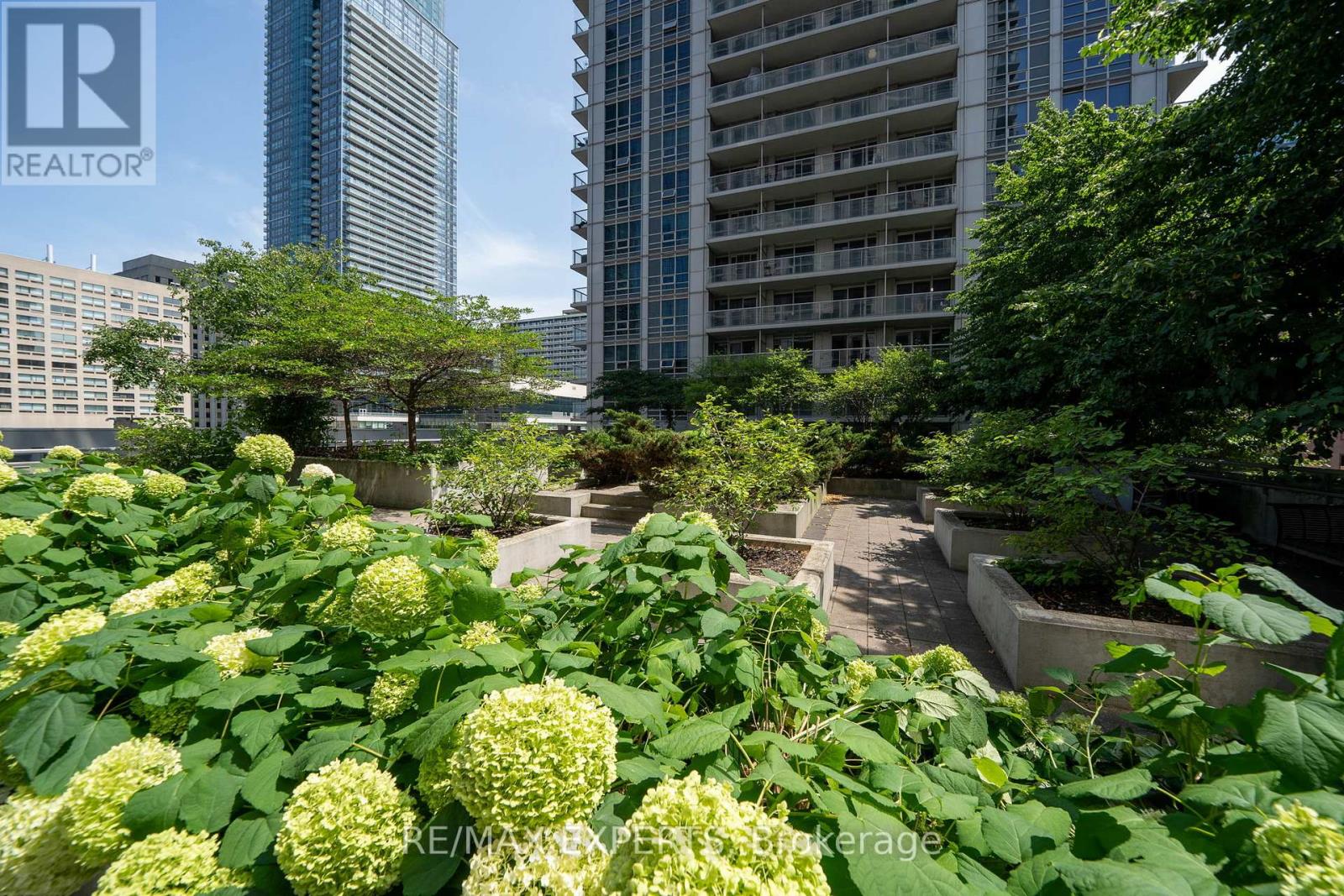 307 - 763 Bay Street, Toronto, Ontario  M5G 2R3 - Photo 24 - C13123834