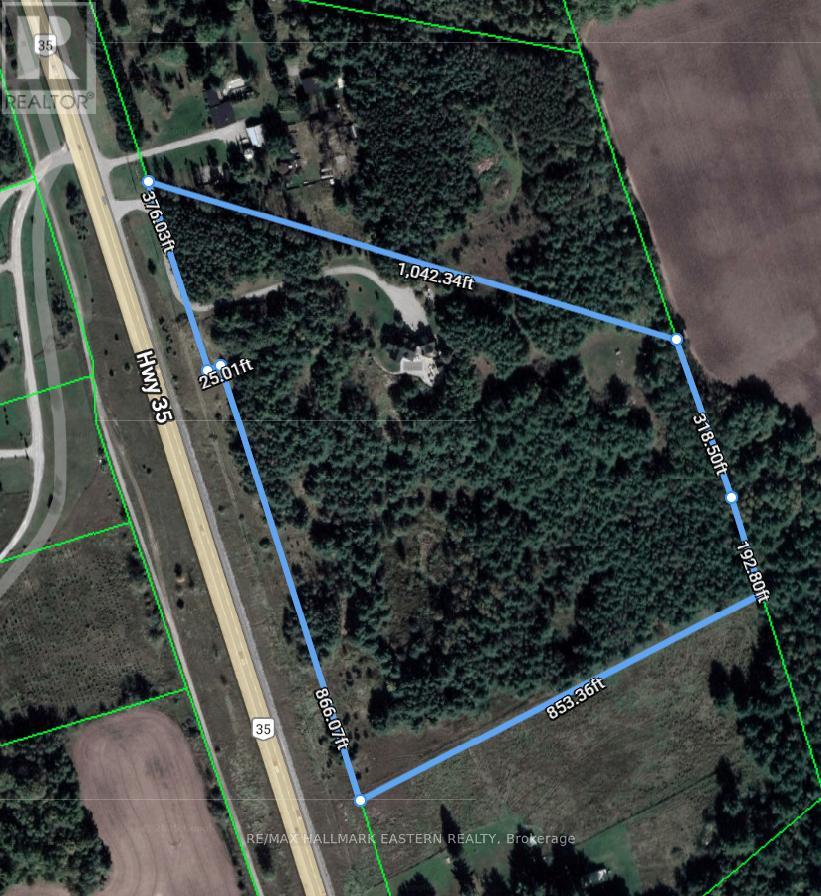 544 Highway 35, Kawartha Lakes, Ontario  L0A 1K0 - Photo 2 - X13123880