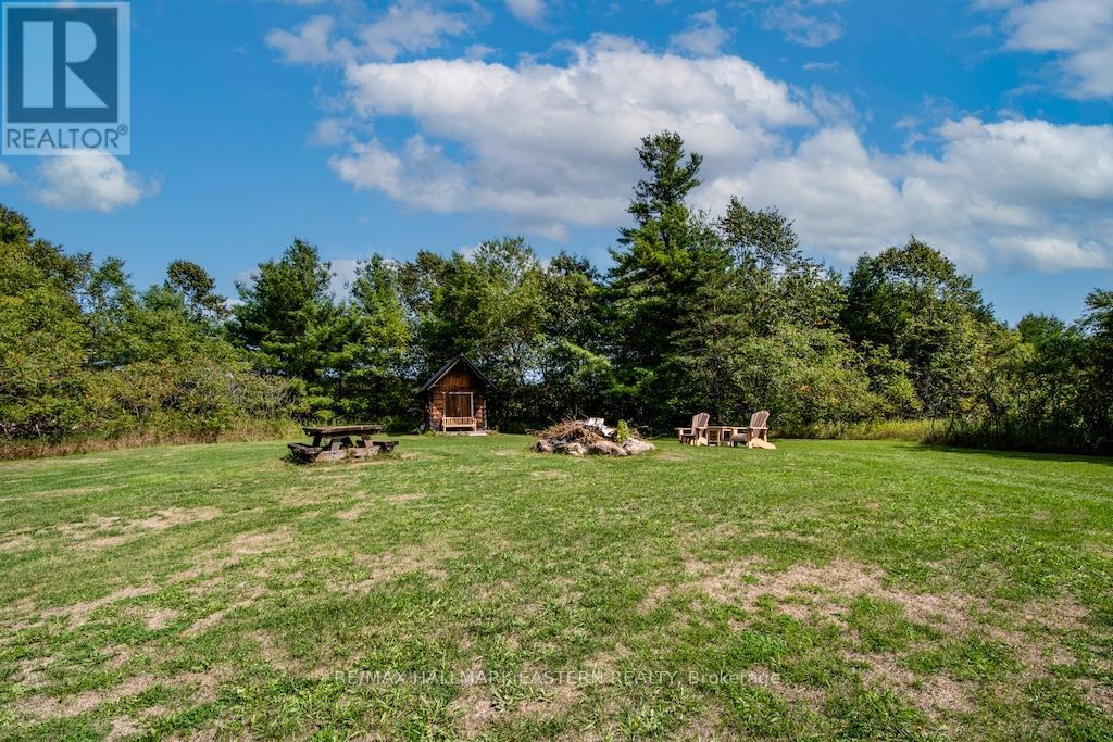 544 Highway 35, Kawartha Lakes, Ontario  L0A 1K0 - Photo 45 - X13123880