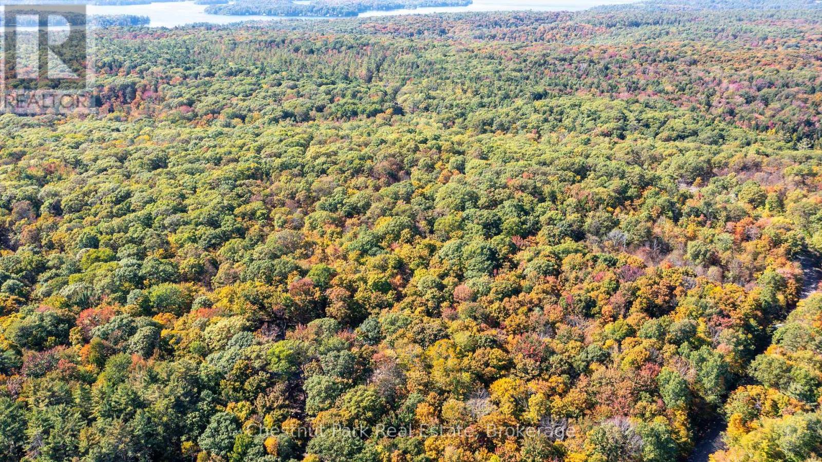 0 Rostrevor Road, Muskoka Lakes, Ontario  P0B 1M0 - Photo 12 - X13124076