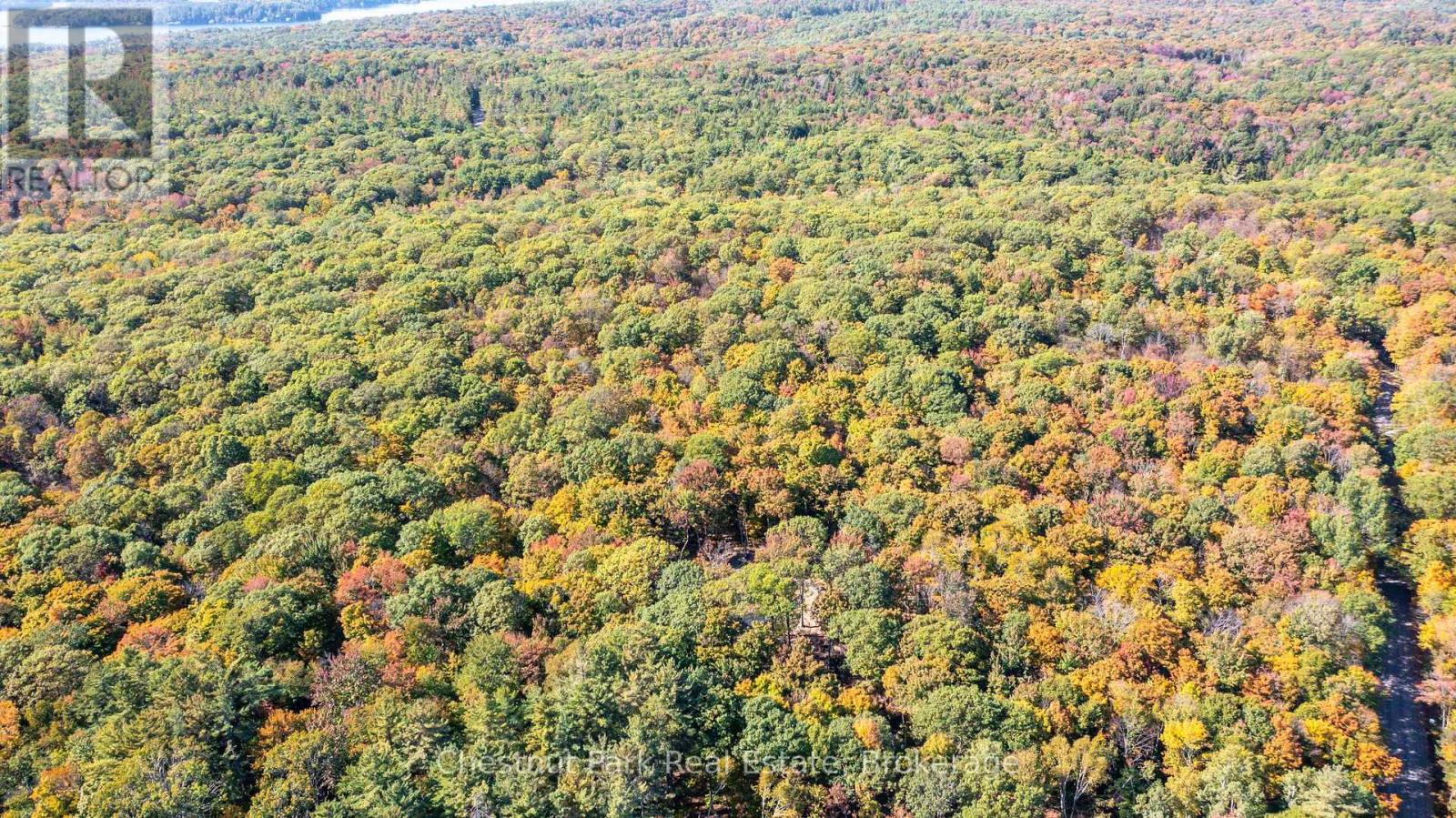 0 Rostrevor Road, Muskoka Lakes, Ontario  P0B 1M0 - Photo 13 - X13124076