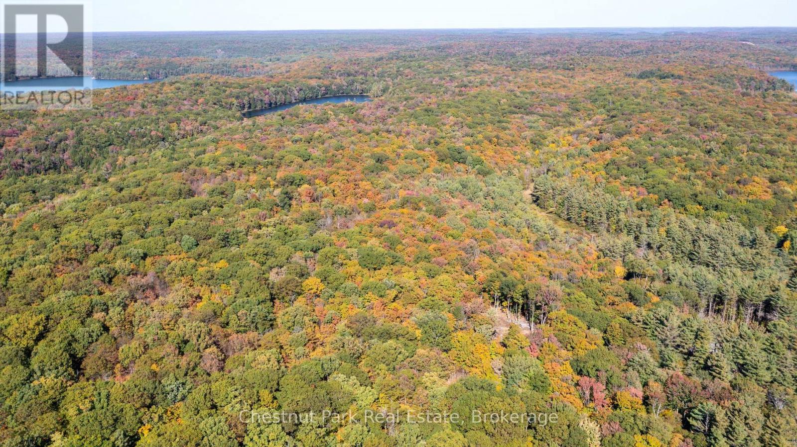 0 Rostrevor Road, Muskoka Lakes, Ontario  P0B 1M0 - Photo 15 - X13124076