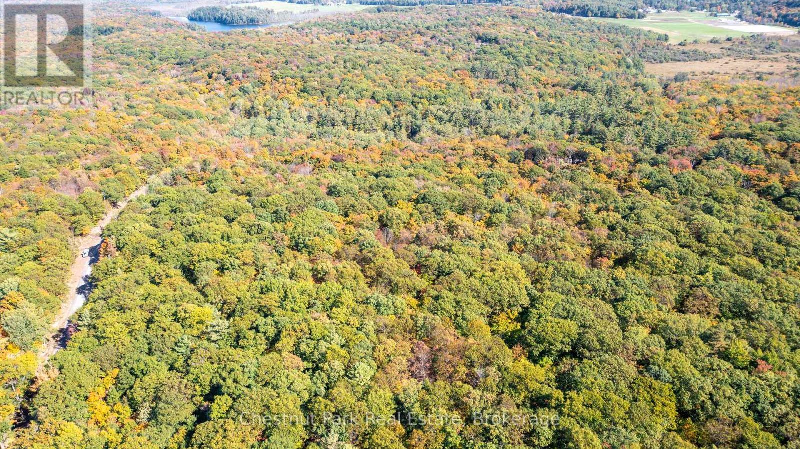0 Rostrevor Road, Muskoka Lakes, Ontario  P0B 1M0 - Photo 16 - X13124076