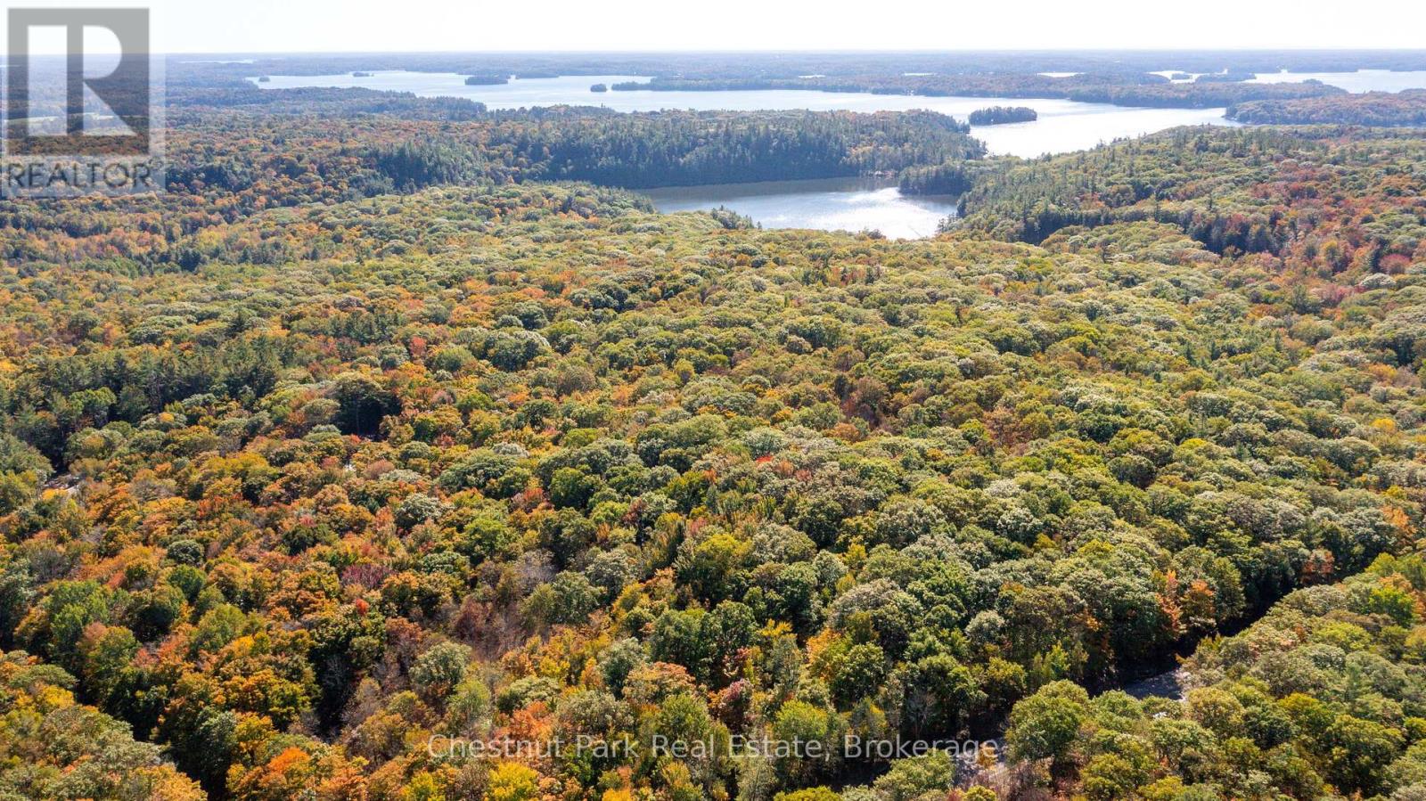 0 Rostrevor Road, Muskoka Lakes, Ontario  P0B 1M0 - Photo 7 - X13124076