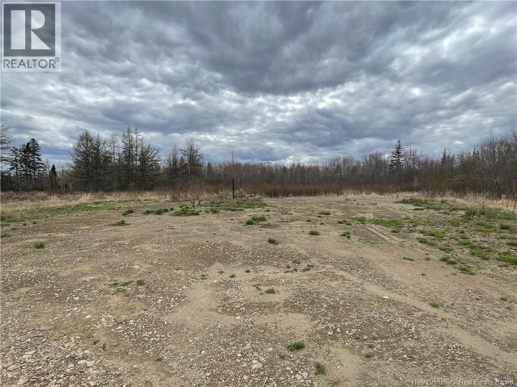 8249 Route 117, Black River Bridge, New Brunswick  E1N 5K4 - Photo 19 - NB139105