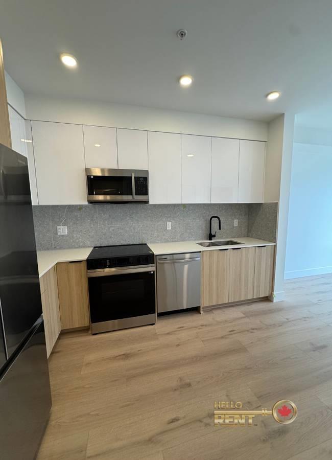 331 20769 Fraser Highway, Langley, British Columbia  V4W 3N5 - Photo 3 - R3123327