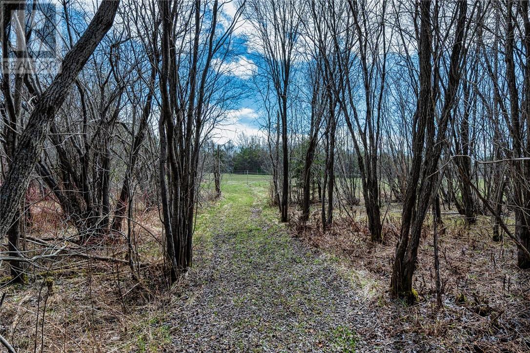 3599 Highway 64, Noelville, Ontario  P0M 2N0 - Photo 14 - 2127728