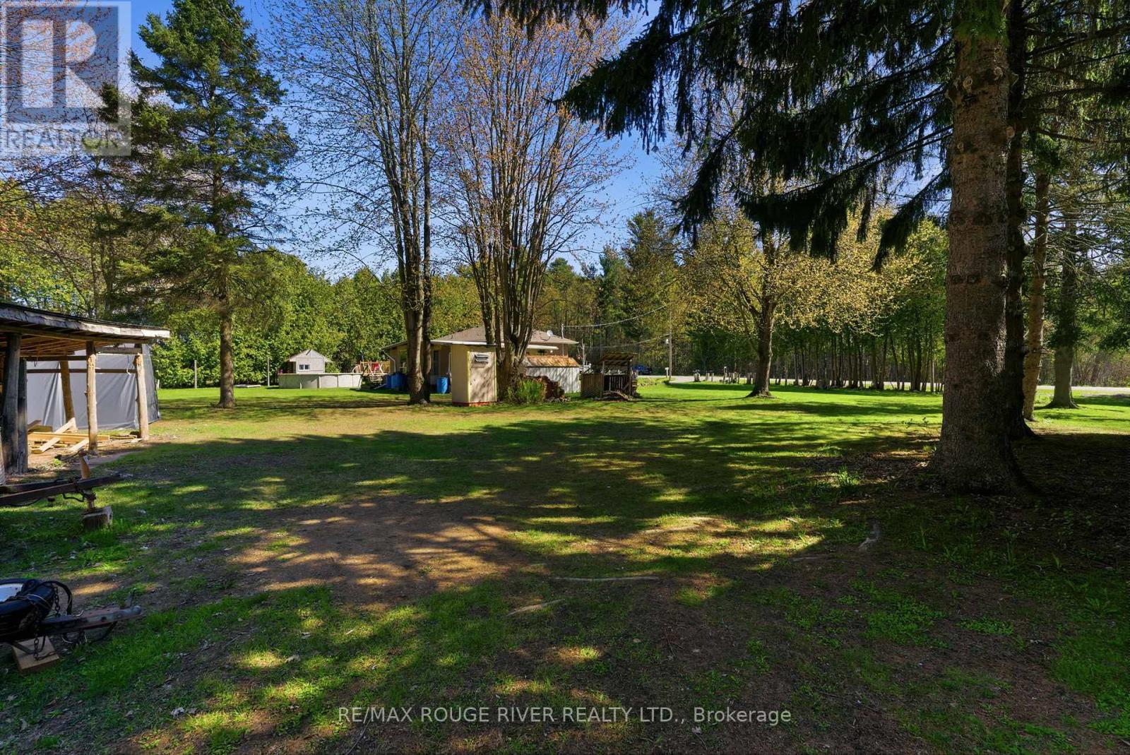 3856 Solina Road, Clarington, Ontario  L1E 0L5 - Photo 39 - E13124296