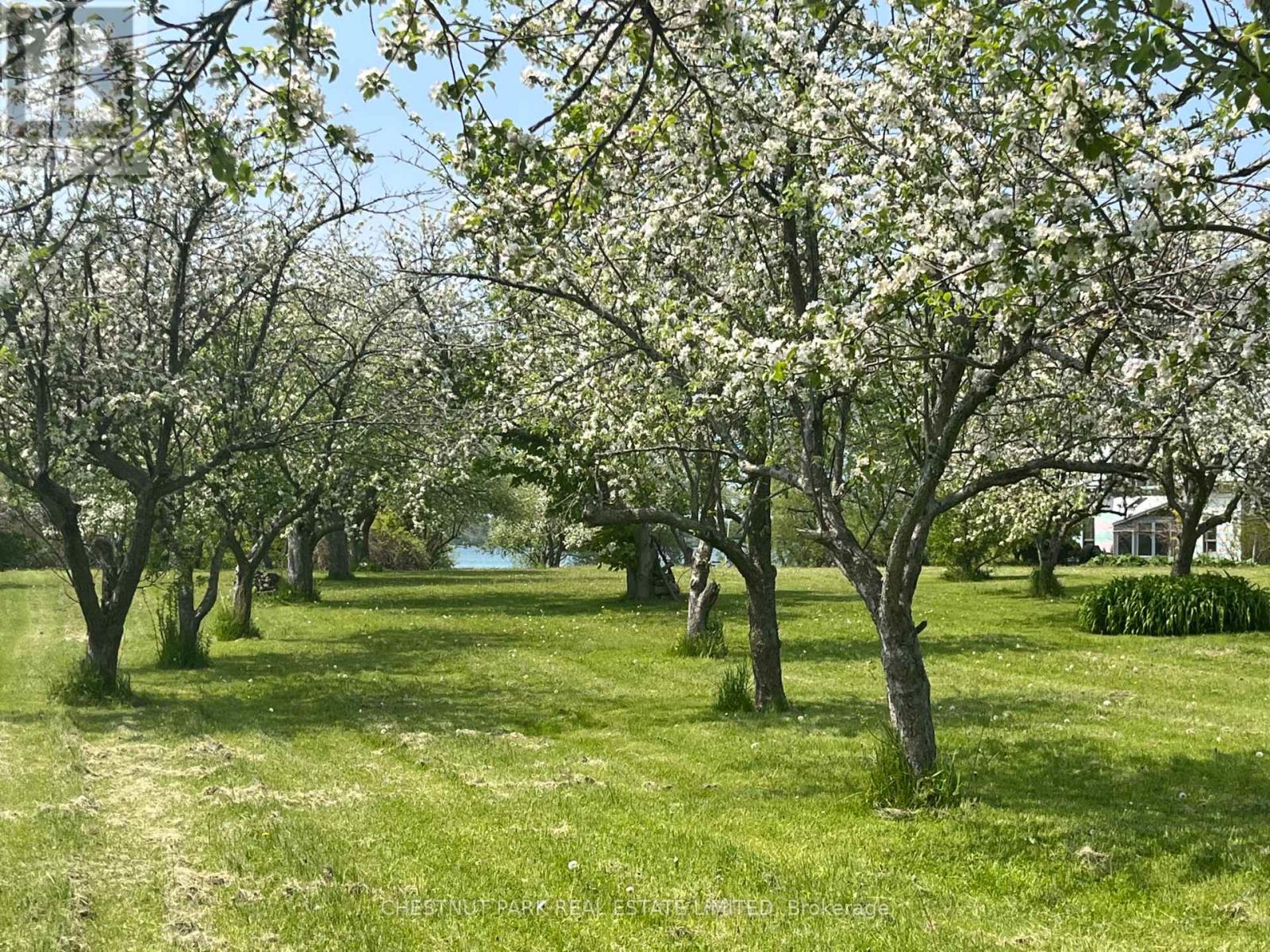3071 County Road 13, Prince Edward County, Ontario  K0K 2T0 - Photo 46 - X13124276