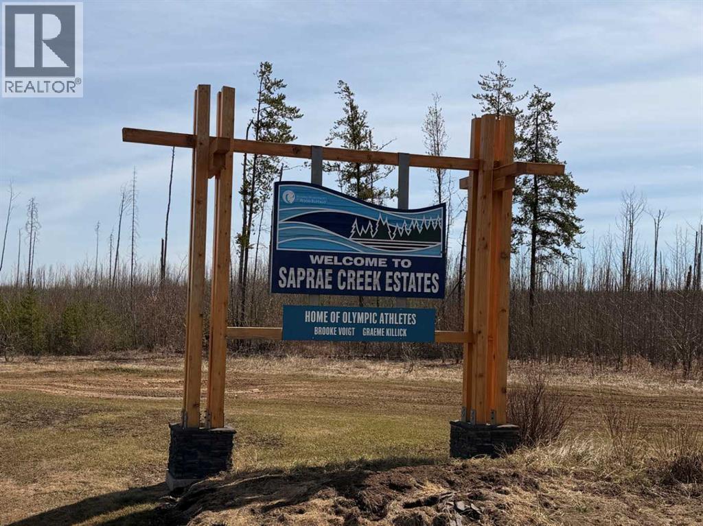 104 Janke Lane, Saprae Creek, Alberta  T9H 5B4 - Photo 5 - A2283179