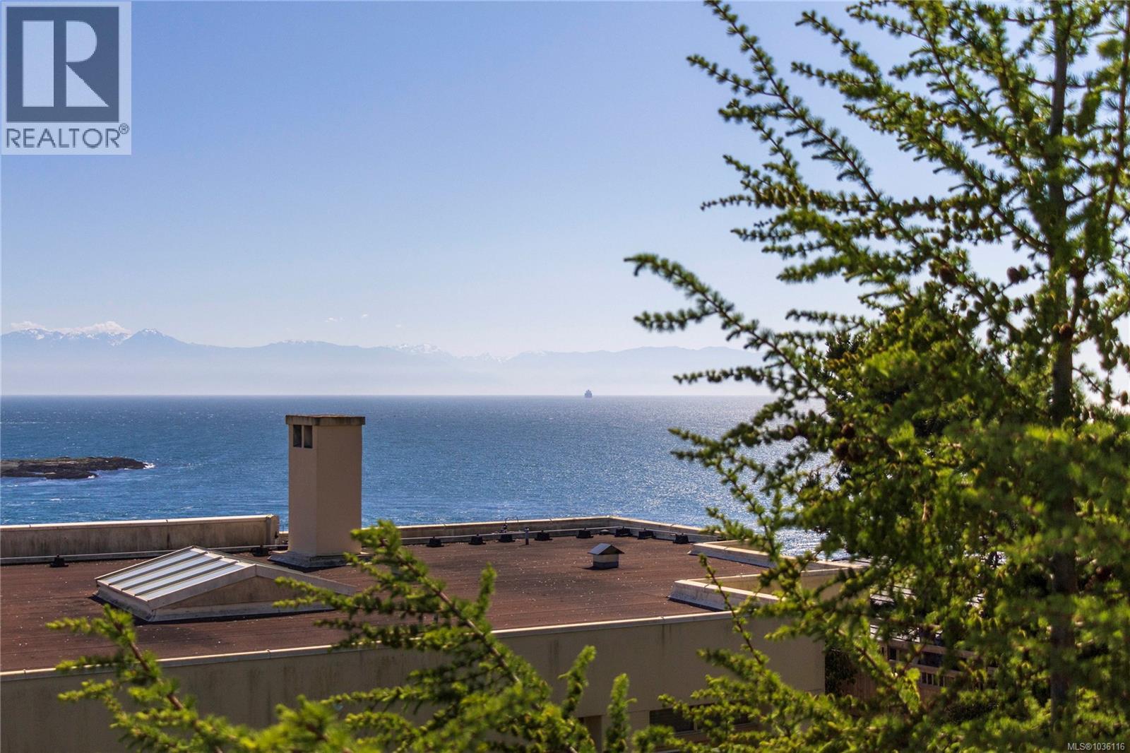 408 Newport Ave, Oak Bay, British Columbia  V8S 5C5 - Photo 41 - 1036116