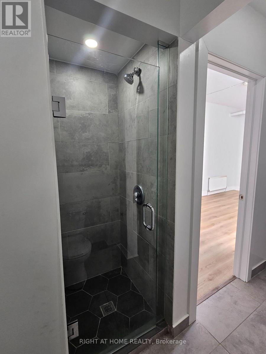 3 - 437 Spadina Avenue, Toronto, Ontario  M5T 2G6 - Photo 19 - C13124620