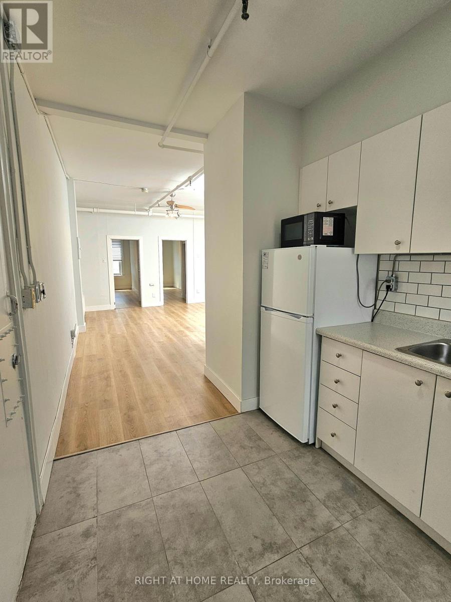 3 - 437 Spadina Avenue, Toronto, Ontario  M5T 2G6 - Photo 4 - C13124620