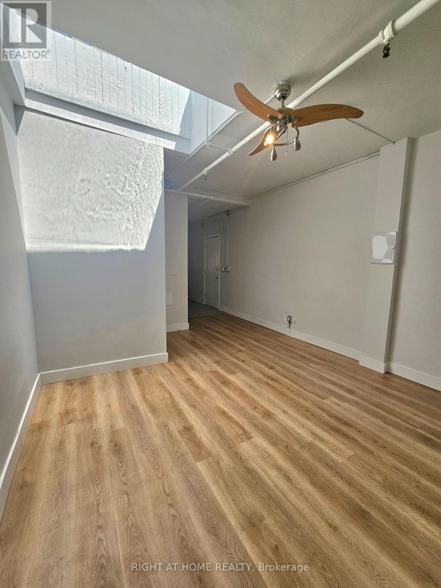 3 - 437 Spadina Avenue, Toronto, Ontario  M5T 2G6 - Photo 8 - C13124620