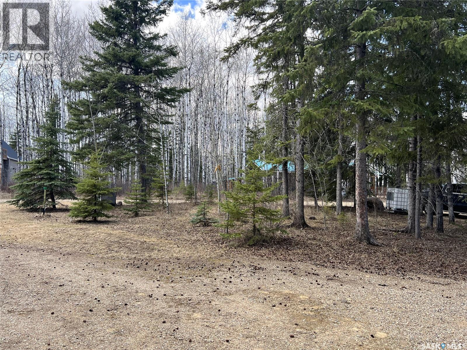 418 South Point Place, Green Lake, Saskatchewan  S0M 1B0 - Photo 26 - SK035868