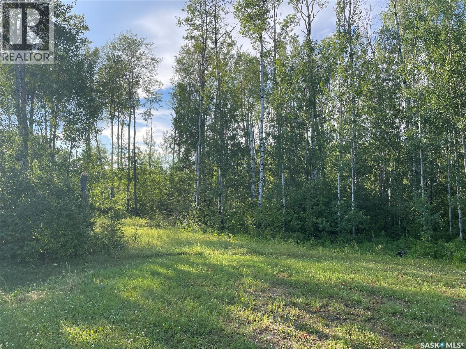 9 Northwood Crescent, Big River Rm No. 555, Saskatchewan  S0J 0E0 - Photo 4 - SK035789