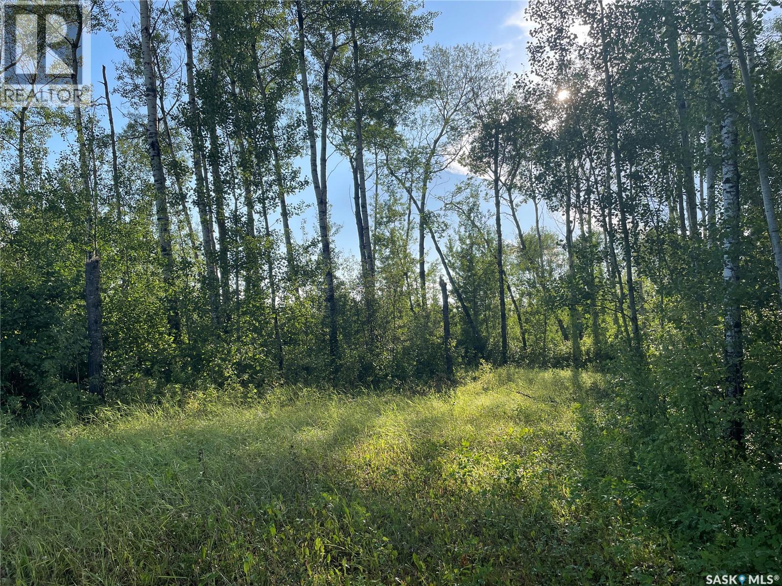 9 Northwood CRESCENT, Big River Rm No. 555, Saskatchewan