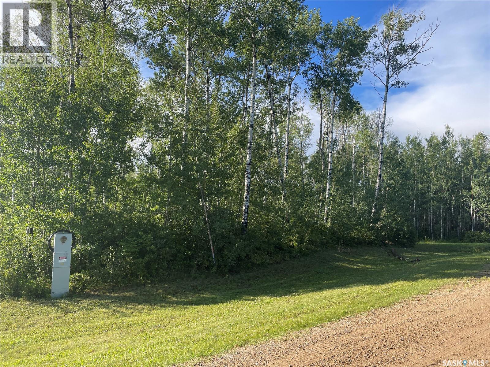 9 Northwood Crescent, Big River Rm No. 555, Saskatchewan  S0J 0E0 - Photo 3 - SK035789