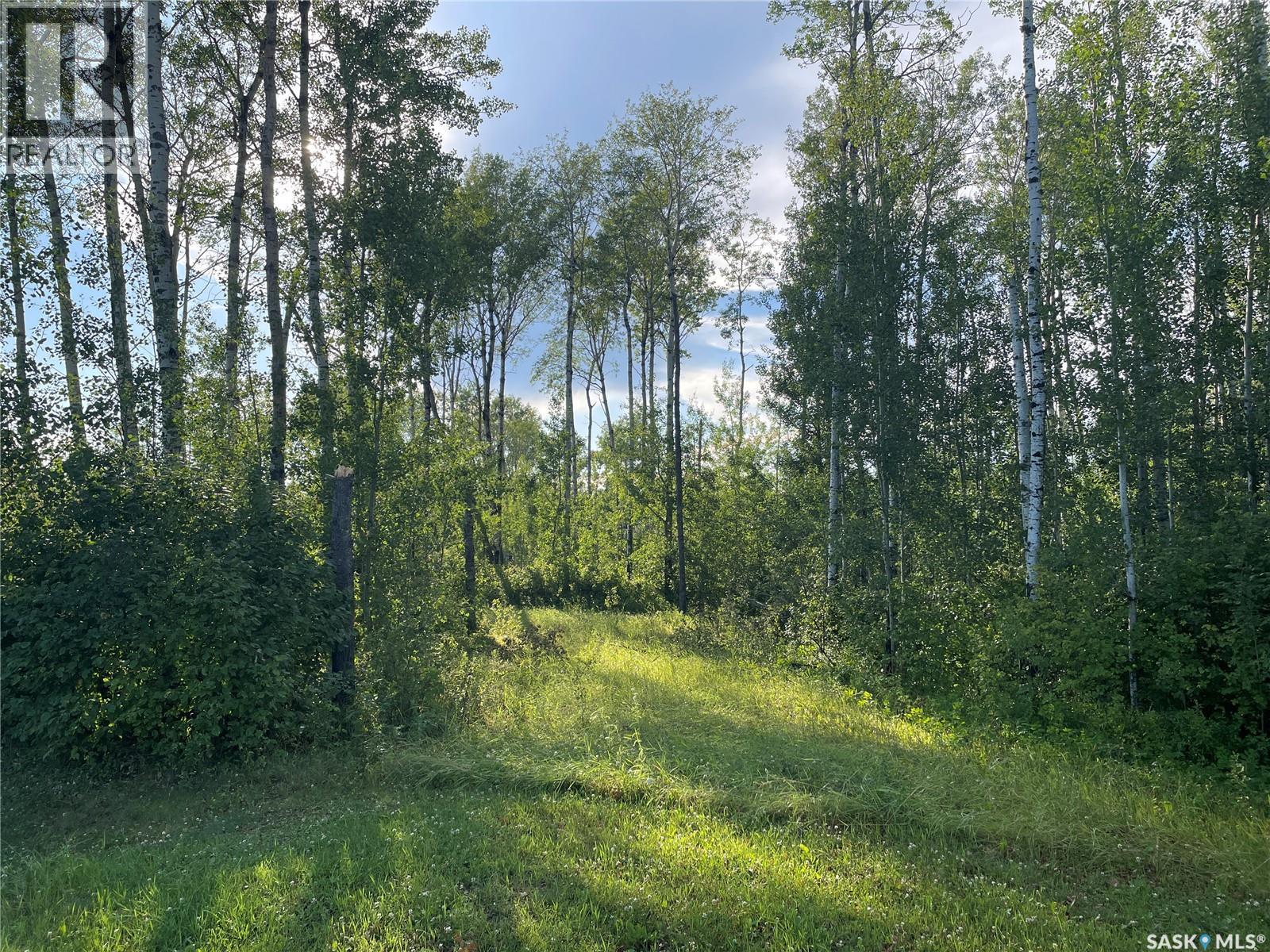 9 Northwood Crescent, Big River Rm No. 555, Saskatchewan  S0J 0E0 - Photo 6 - SK035789