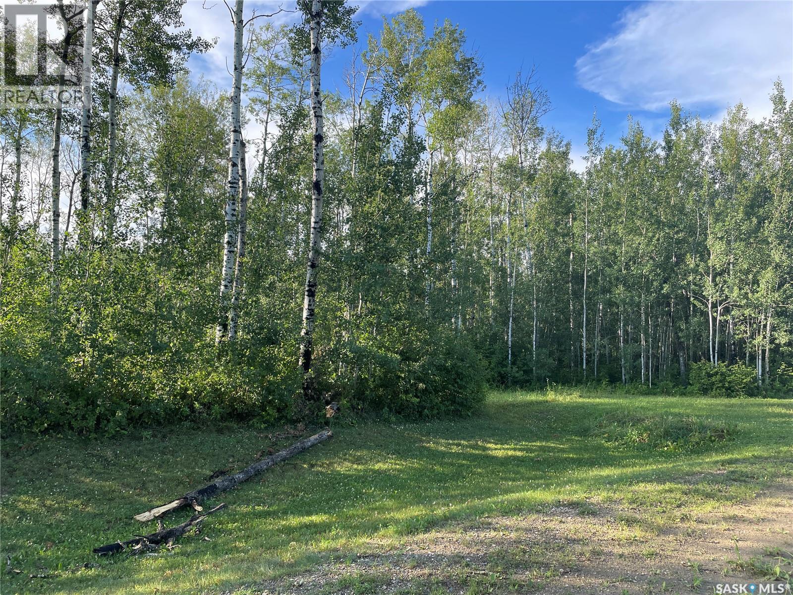 9 Northwood Crescent, Big River Rm No. 555, Saskatchewan  S0J 0E0 - Photo 5 - SK035789