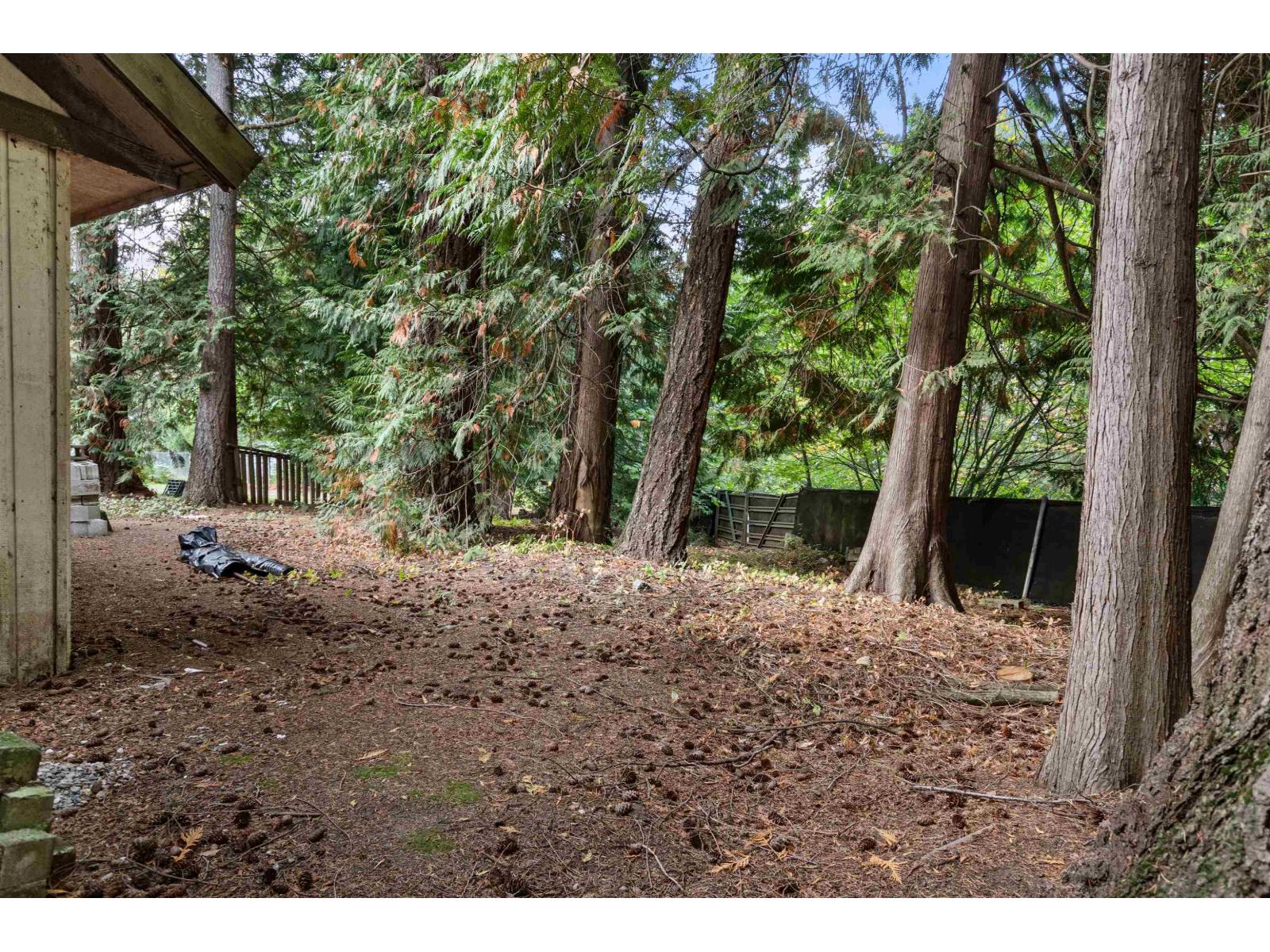 63491 Flood Hope Road, Hope, Hope, British Columbia  V0X 1L2 - Photo 39 - R3121638
