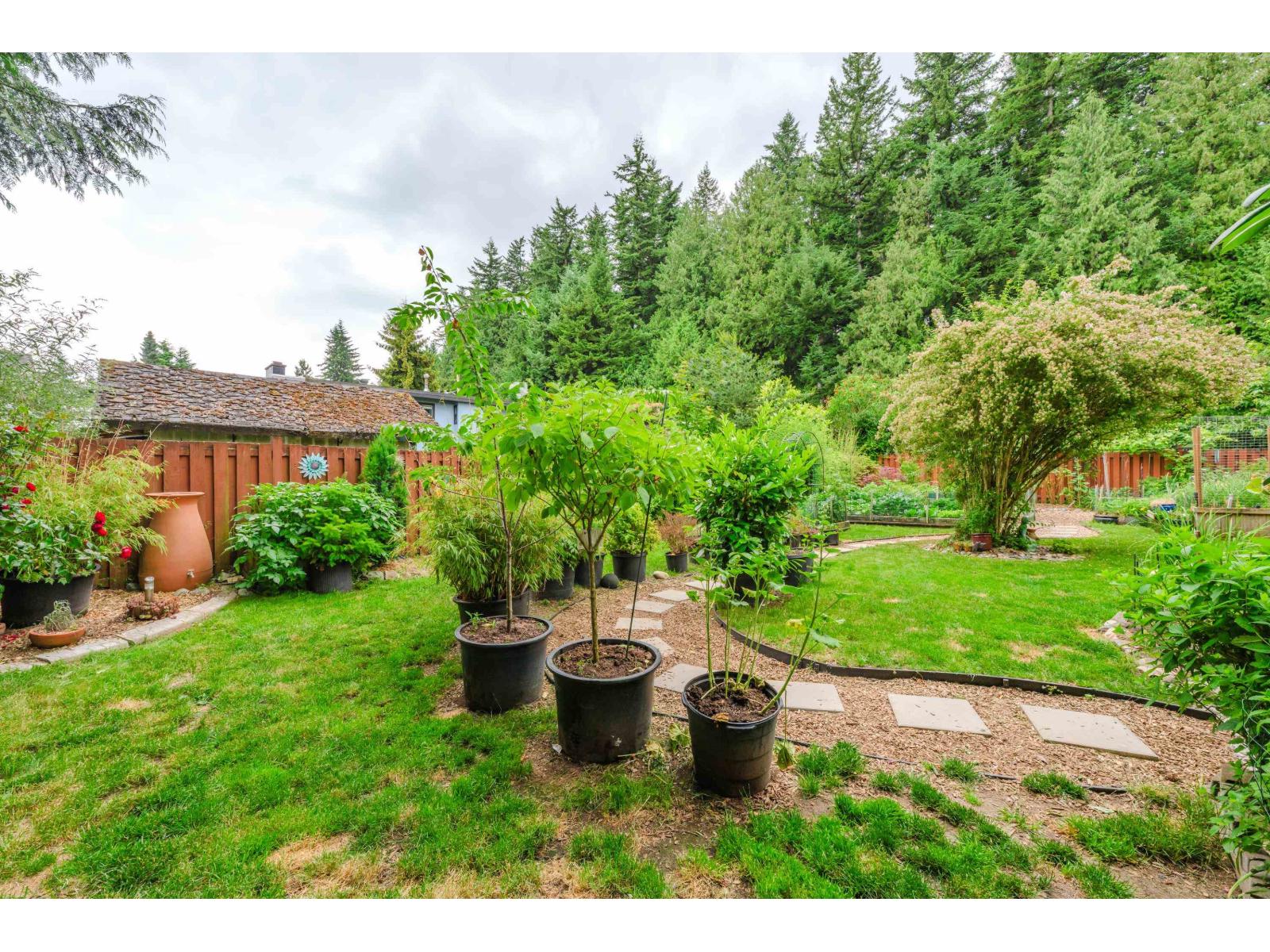33318 Holland Avenue, Abbotsford, British Columbia  V2S 1E9 - Photo 37 - R3122487