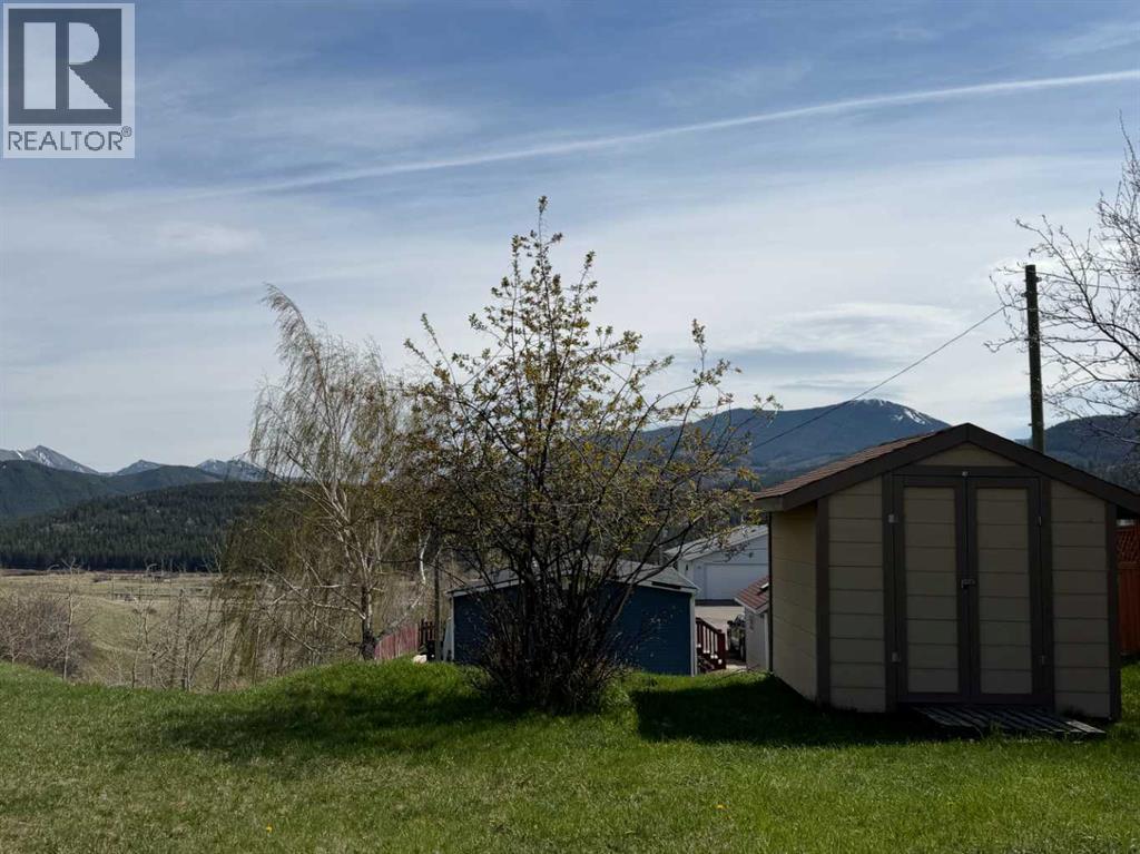8642 22 Avenue, Coleman, Alberta  T0K 0M0 - Photo 2 - A2309914