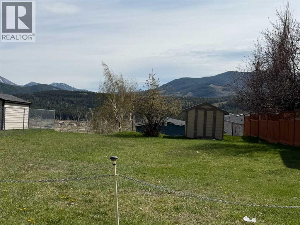 8642 22 Avenue, Coleman, Alberta  T0K 0M0 - Photo 1 - A2309914