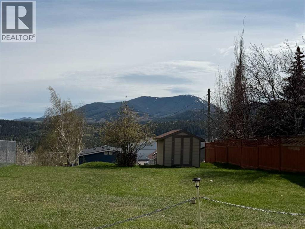 8642 22 Avenue, Coleman, Alberta  T0K 0M0 - Photo 4 - A2309914