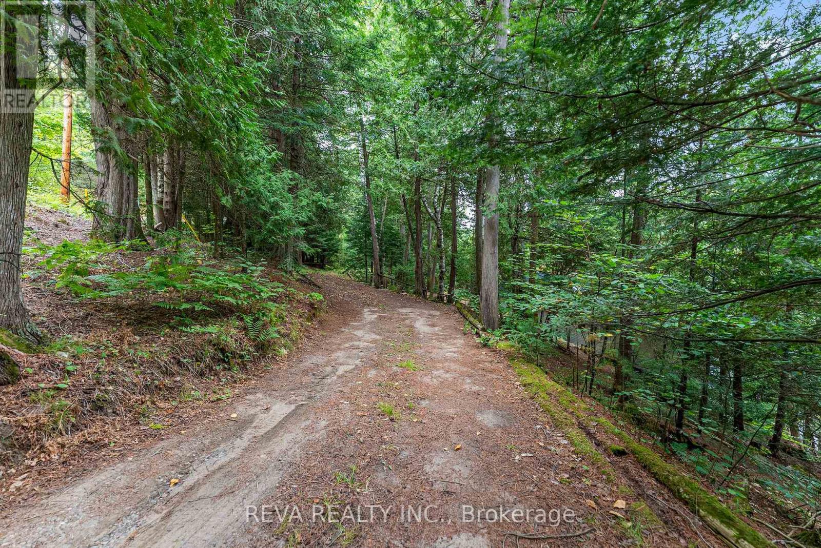156 Ponacka Road, Hastings Highlands, Ontario  K0L 1C0 - Photo 38 - X13125030