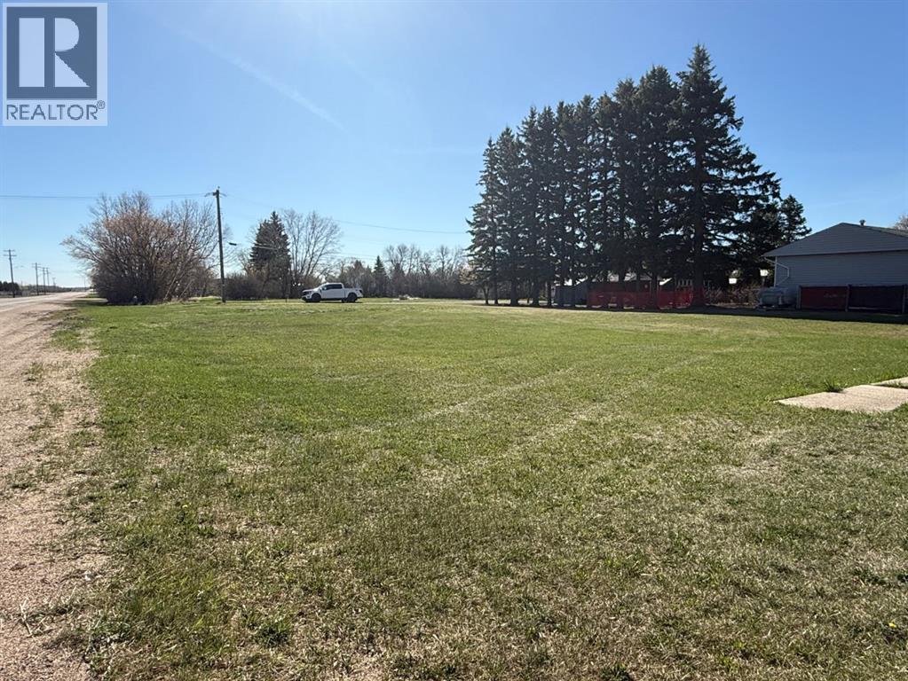 4911 48 Avenue, Mannville, Alberta  T0B 2W0 - Photo 4 - A2310574