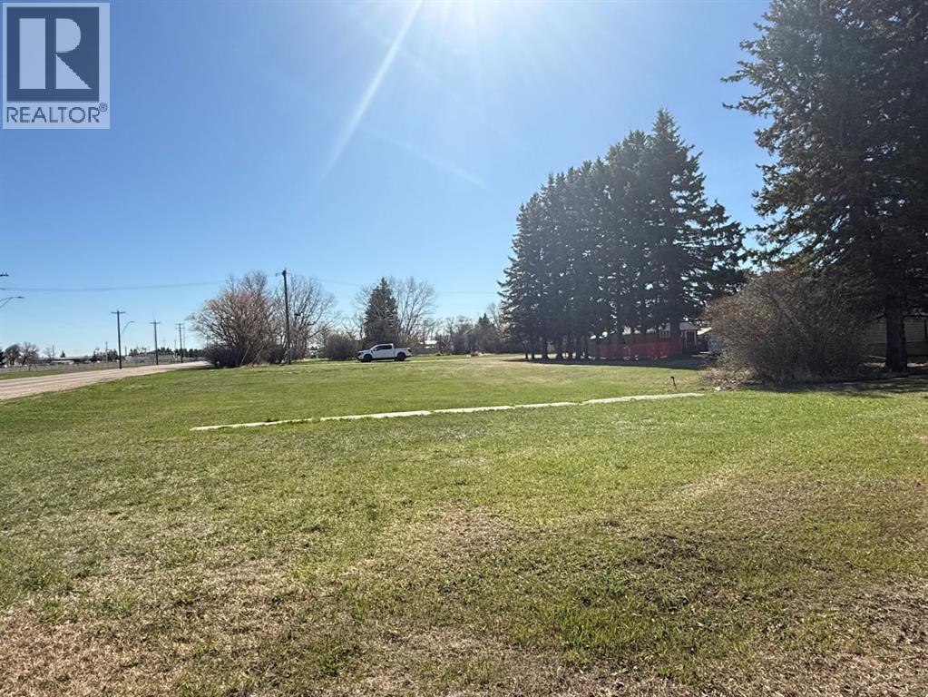 4911 48 Avenue, Mannville, Alberta  T0B 2W0 - Photo 5 - A2310574