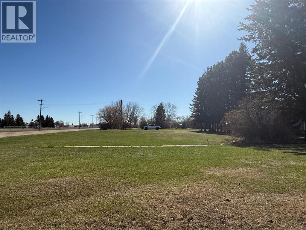 4911 48 Avenue, Mannville, Alberta  T0B 2W0 - Photo 6 - A2310574