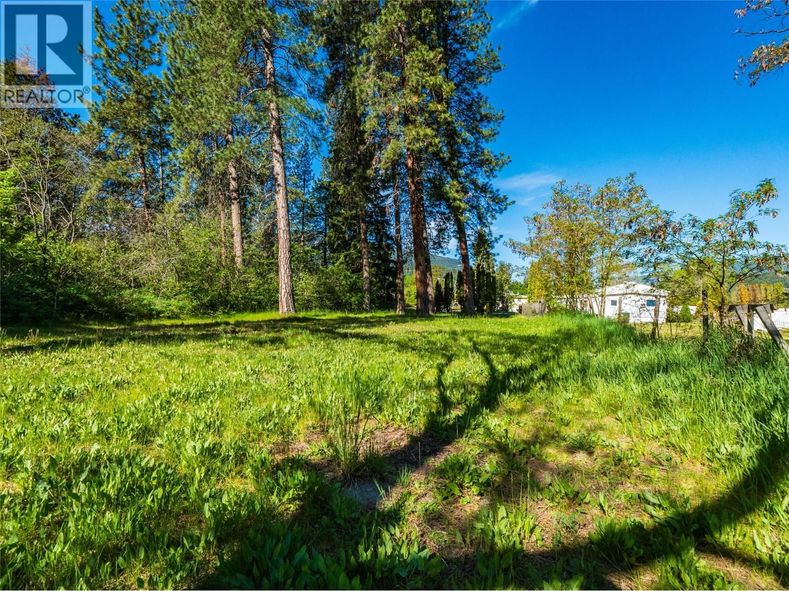 225 2nd Avenue, Castlegar, British Columbia  V1N 3C2 - Photo 9 - 10386871
