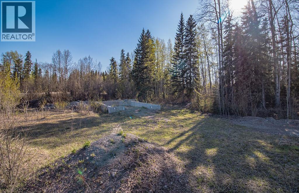 Lot 1 27 Highway, Fort St. James, British Columbia  V0J 1P0 - Photo 4 - R3106434