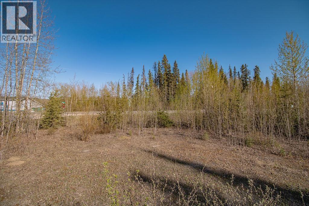 Lot 1 27 Highway, Fort St. James, British Columbia  V0J 1P0 - Photo 10 - R3106434
