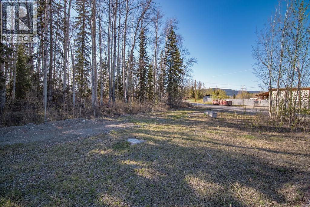 Lot 1 27 Highway, Fort St. James, British Columbia  V0J 1P0 - Photo 8 - R3106434