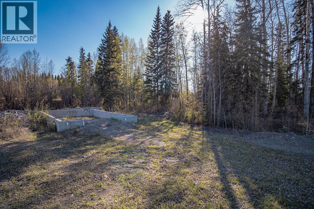 Lot 1 27 Highway, Fort St. James, British Columbia  V0J 1P0 - Photo 7 - R3106434