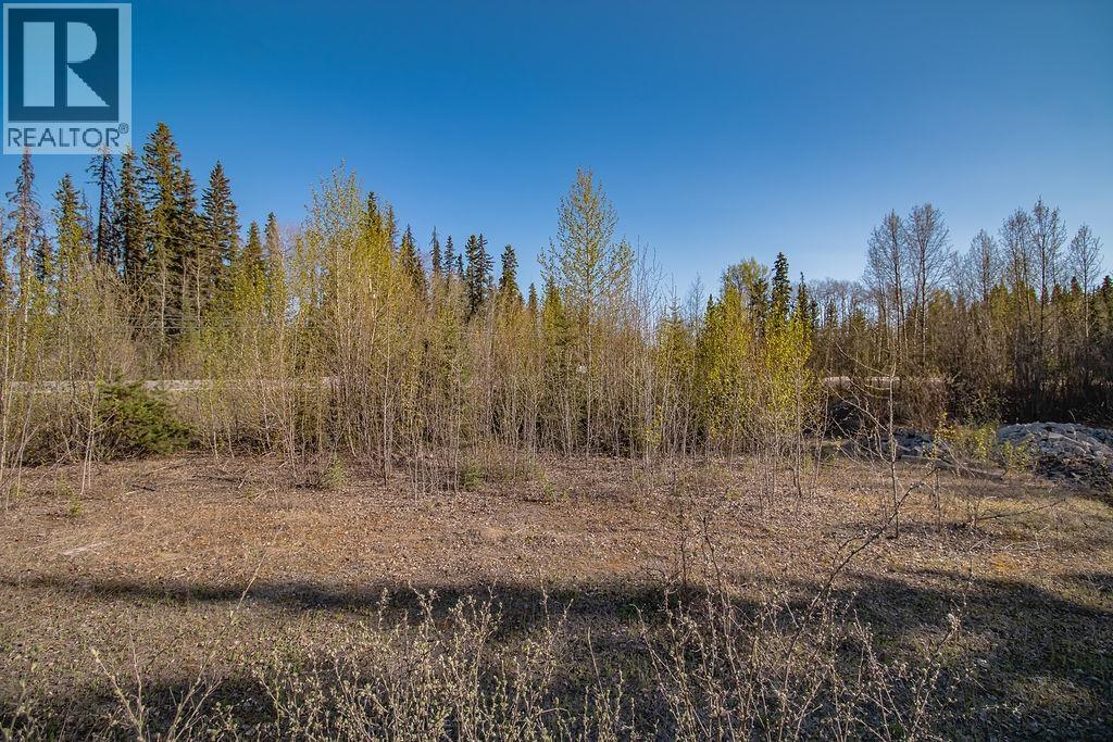 Lot 1 27 Highway, Fort St. James, British Columbia  V0J 1P0 - Photo 11 - R3106434