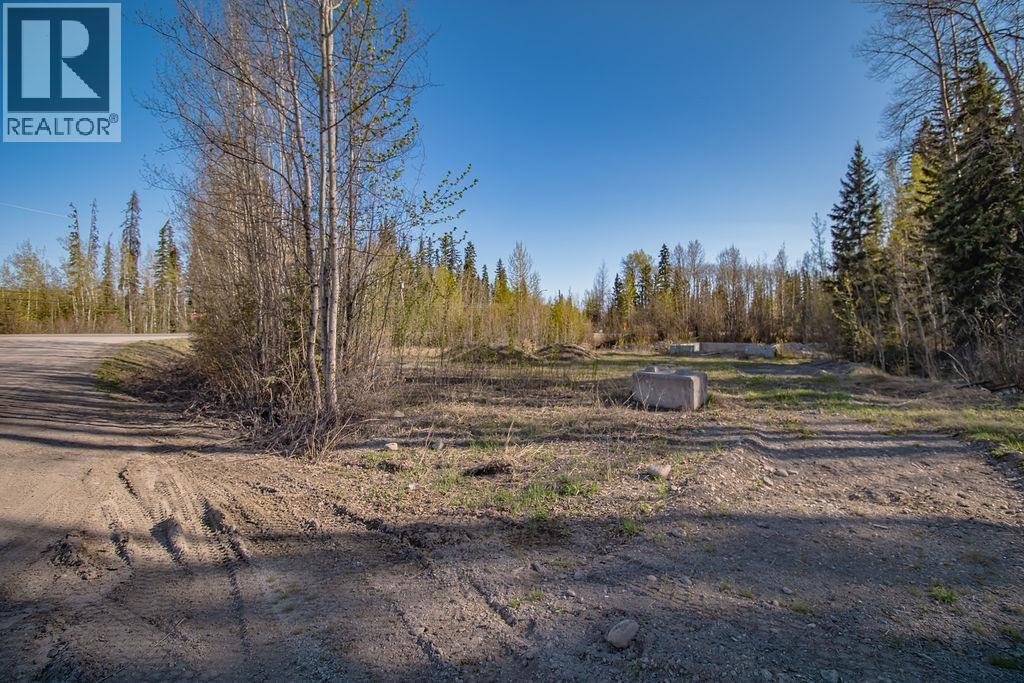 Lot 1 27 Highway, Fort St. James, British Columbia  V0J 1P0 - Photo 2 - R3106434