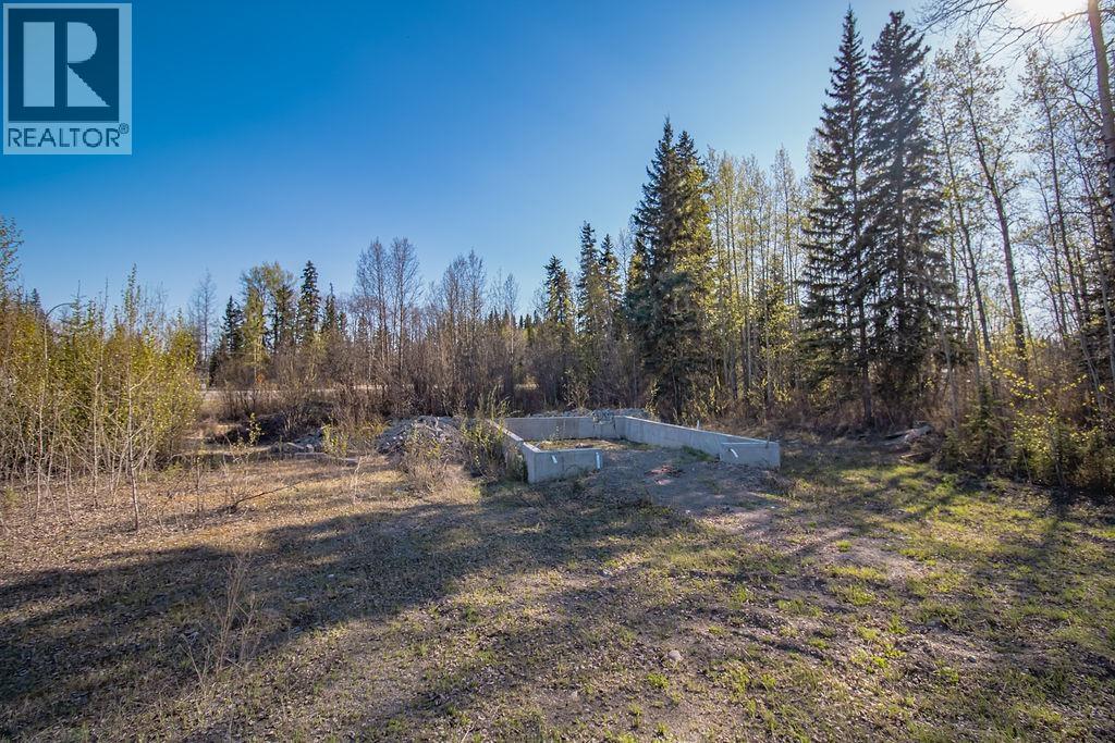 Lot 1 27 Highway, Fort St. James, British Columbia  V0J 1P0 - Photo 5 - R3106434