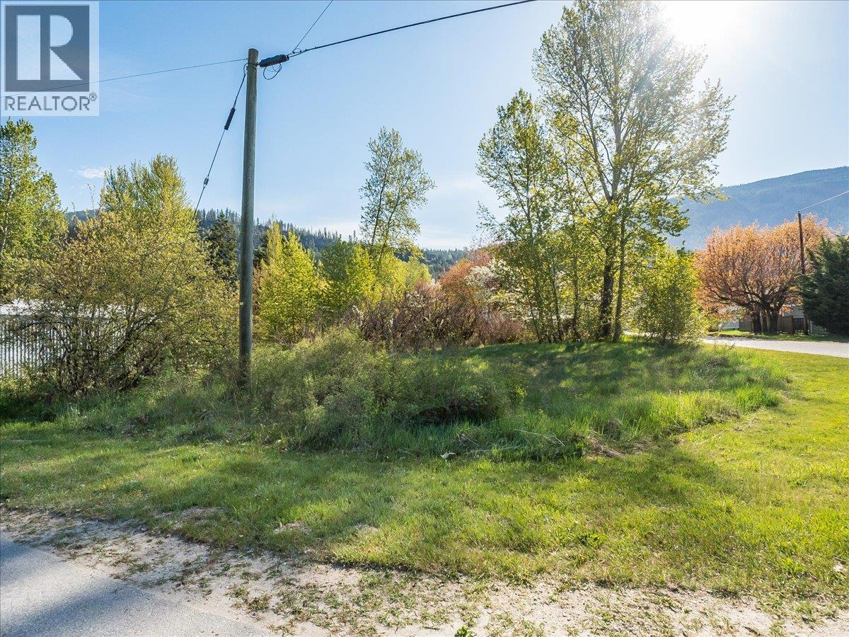 Main Street Lot# A, Slocan, British Columbia V0G 2C0 - Photo 20 - 10387383