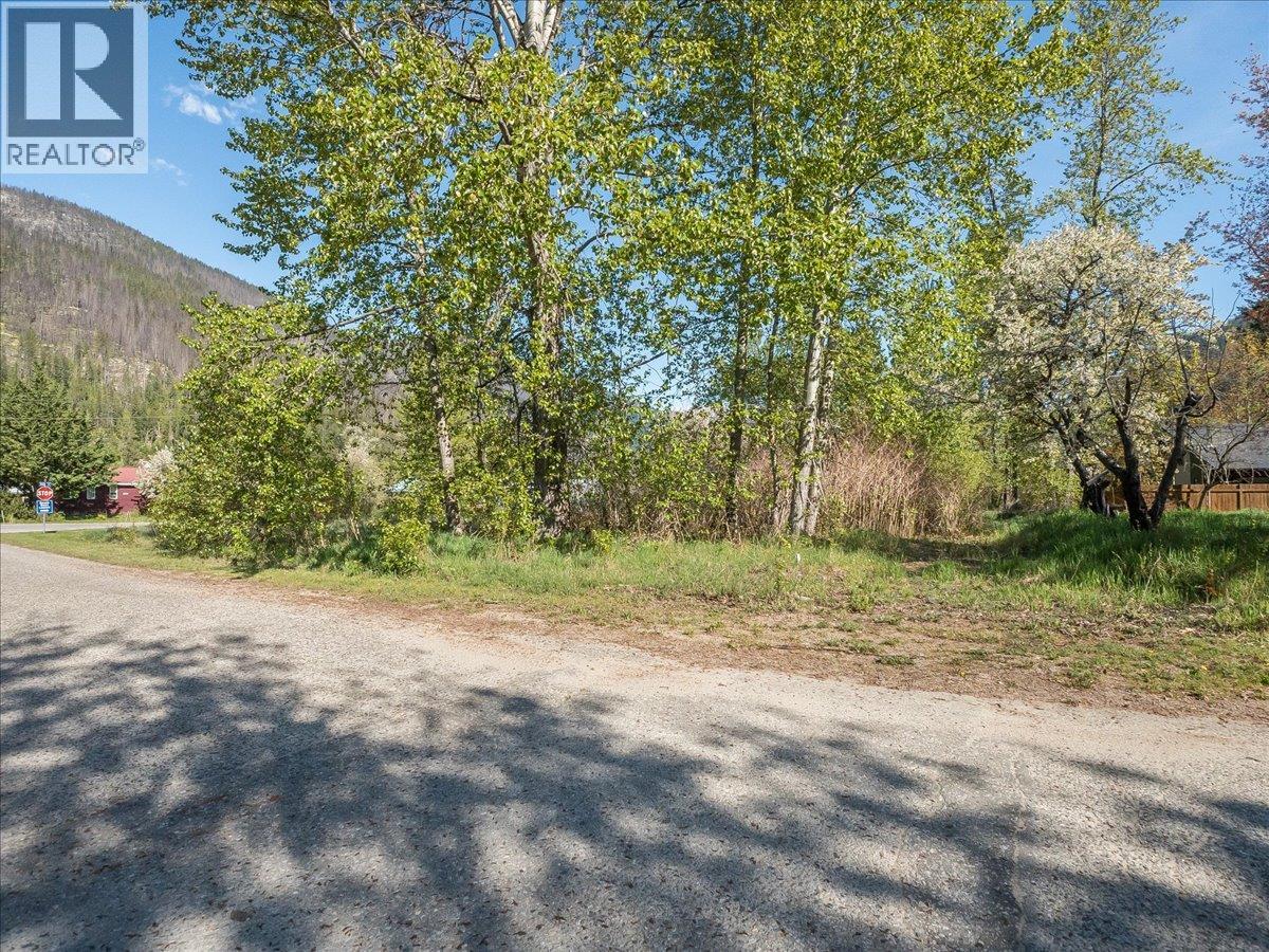 Main Street Lot# A, Slocan, British Columbia V0G 2C0 - Photo 26 - 10387383